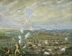 南アメリカでのフラミンゴ射撃 作： George Catlin